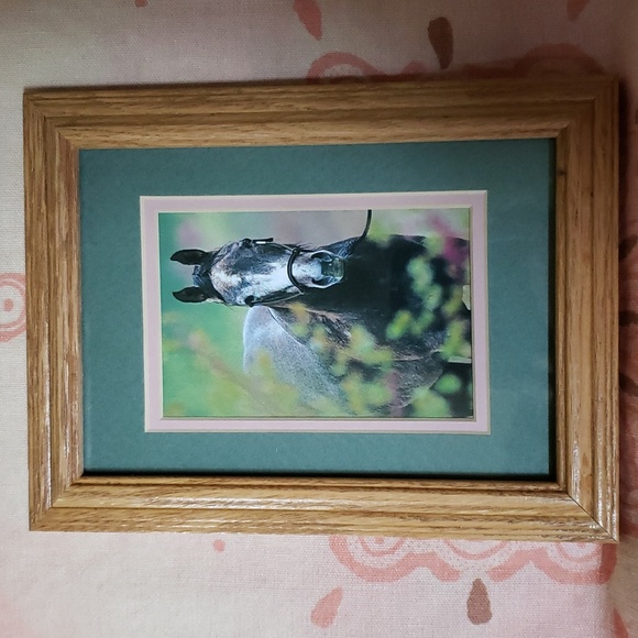 Framed Horse Print Caballo Pony Cowgirl - Picture 2 of 11